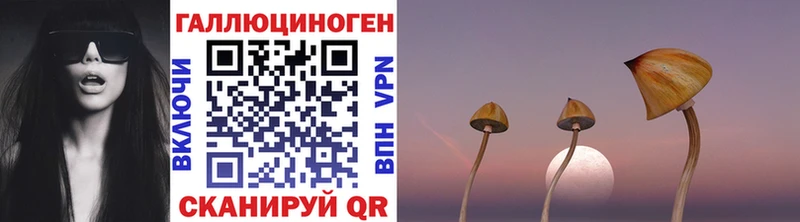 Галлюциногенные грибы Magic Shrooms  Бежецк 